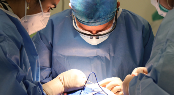 Catania Chirurgia Plastica Genitali Femminili dal Dr Curreri